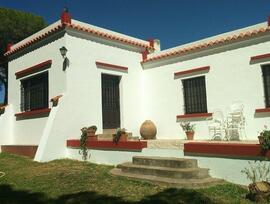 Campo en La Puebla del Rio