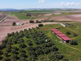 Casa de campo en El Bosque