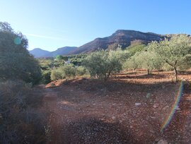 Campo en Alhaurín el Grande