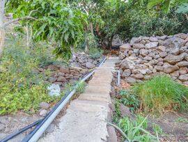 Campo en San Bartolome de Tirajana