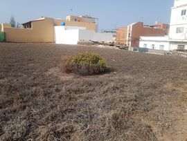Parcela en Telde