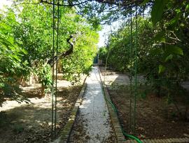 Casa adosada en Olivares
