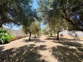Casa de campo en Teba