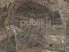 Campo en Hondon de las Nieves