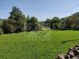 Campo en Arenas de Iguña