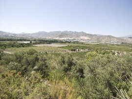 Casa de campo en Motril