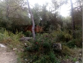 Campo en Sant Pere de Ribes