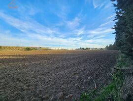 Campo en Humanes de Madrid