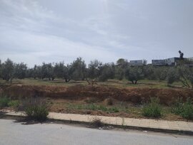 Terreno industrial en Lachar