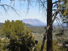 Parcela en Corbera de Llobregat
