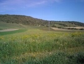 Parcela en Vejer de la Frontera