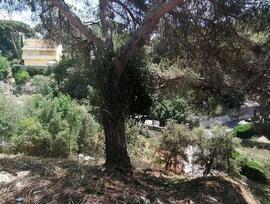 Parcela urbana en Dosrius