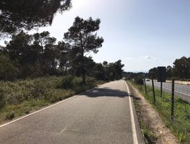 Parcela urbana edificable en Algaida