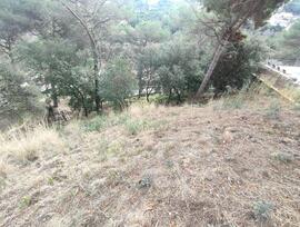 Parcela en Argentona