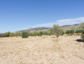 Parcela urbana edificable en Onil