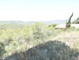 Parcela urbana edificable en La Bisbal del Penedes