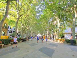 Piso en Palma de Mallorca