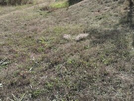 Parcela urbana en Fuentealbilla