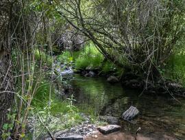 Parcela en Guejar Sierra