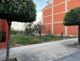 Parcela urbana en Alcanar