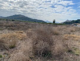 Terreno industrial en Santomera