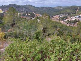 Parcela en Castellet i la Gornal