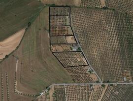 Campo en Albolote