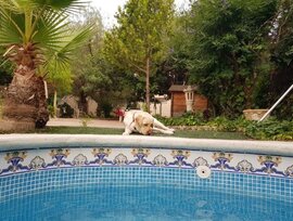 Villa en Molina de Segura