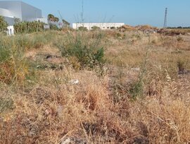 Parcela en Sanlucar de Barrameda