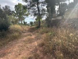 Parcela urbana en Castellvell del Camp