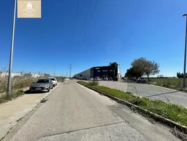 Campo en Palomares del Rio