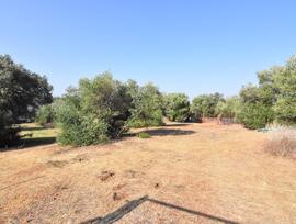 Parcela urbana en Dos Hermanas