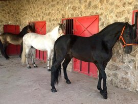 Casa de campo en Murcia