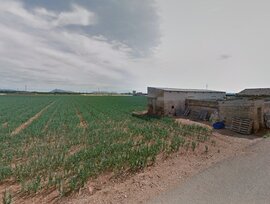 Campo en Sa Pobla