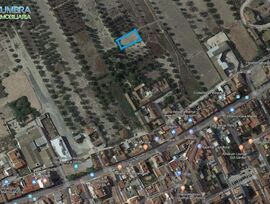 Campo en Sangonera la Verde