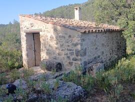 Campo en La Pobla de Cervoles