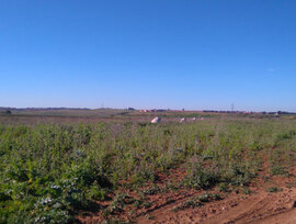 Parcela en Alcala de Guadaira