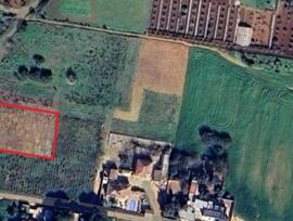 Campo en Puerto Real