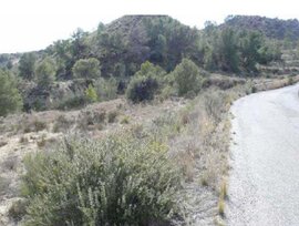 Parcela urbana edificable en Molina de Segura