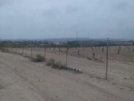 Campo en Molina de Segura