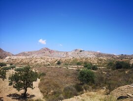 Campo en San Vicente del Raspeig