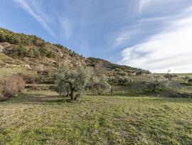 Campo en Monachil