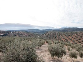 Casa de campo en Loja