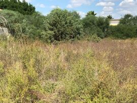 Parcela en Elche pedanias