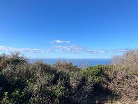 Parcela urbana en Alaior