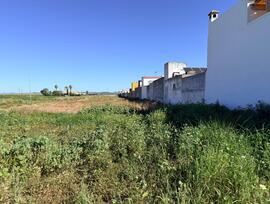 Parcela urbana en Tocina