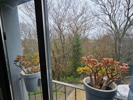 Casa adosada en Sant Jaume dels Domenys