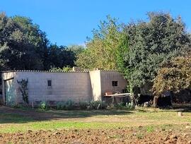 Parcela urbana edificable en Manacor