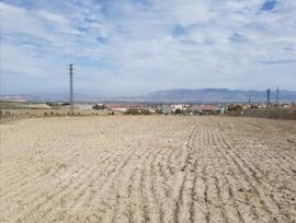 Campo en Las Gabias