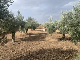 Parcela en Las Gabias